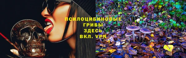 COCAINE Снежногорск